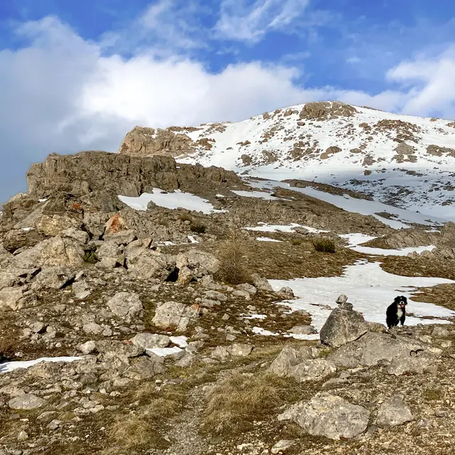 Séjour rando encadrée: 3000 faciles au Pays des Ecrins_Freissinières
