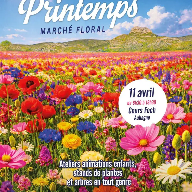 Jour de printemps - Marché floral_Aubagne