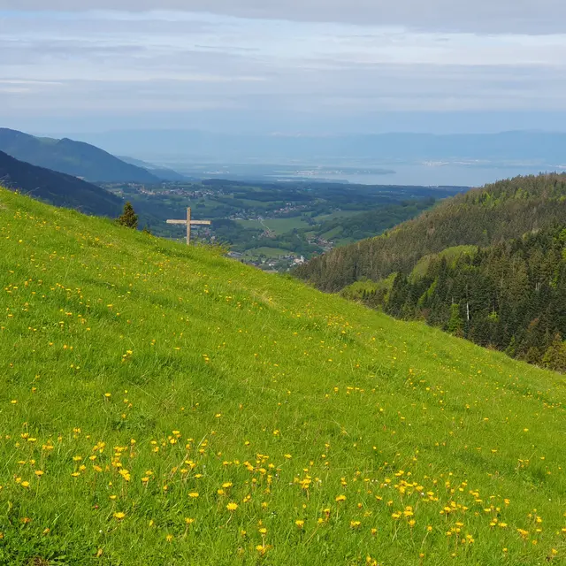 Chalets en alpage