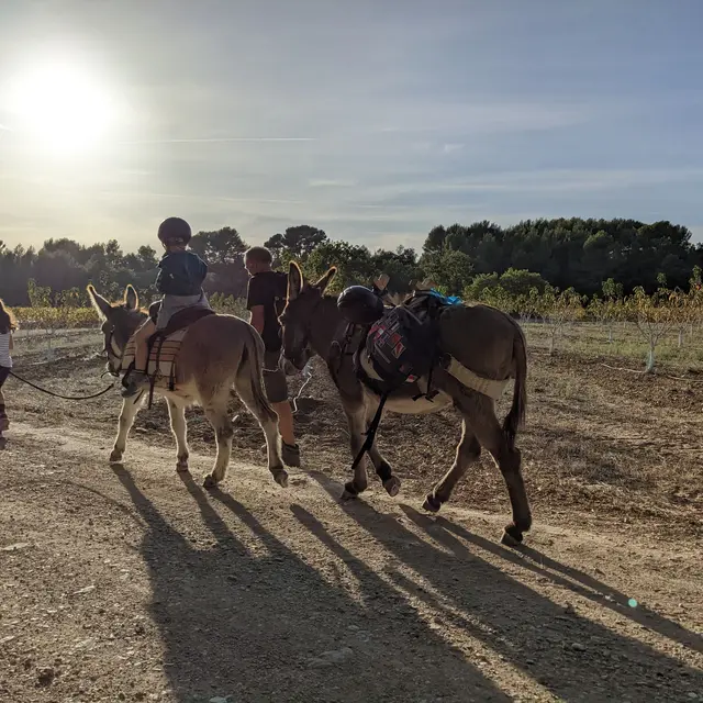 Tis'ânes en Luberon