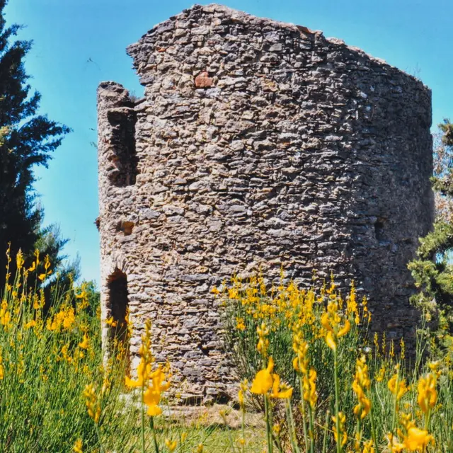 Moulin de la Bastide_Bagnols-en-Forêt