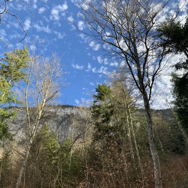 Balade ressourcante : De l'eau, des cimes