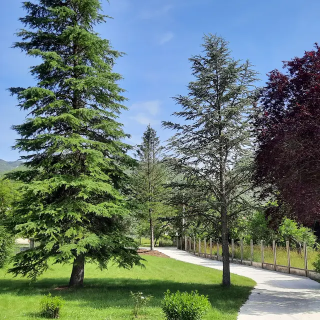 VILLA VERDON CASTELLANE