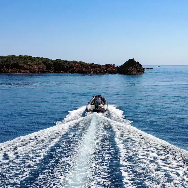 Sortie en mer Agay : Estérel et Calanques