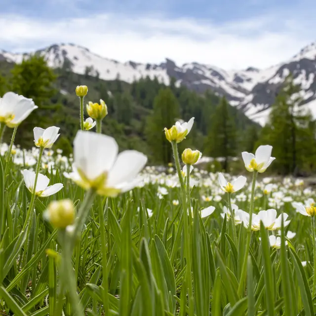 À toucher le paradis en gravel_Abriès-Ristolas