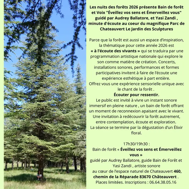 Bain De For t Nuits Des For ts Ch teauvert Provence Alpes C te D bain-de-for-t-nuits-des-for-ts-ch-teauvert-provence-alpes-c-te-d