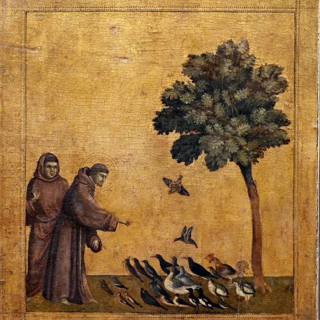Sermon aux oiseaux de Giotto