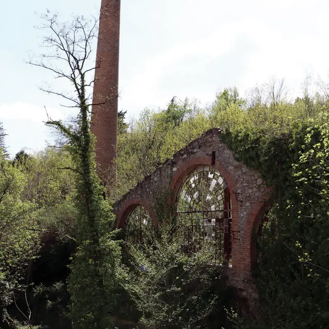 Usine de tanin