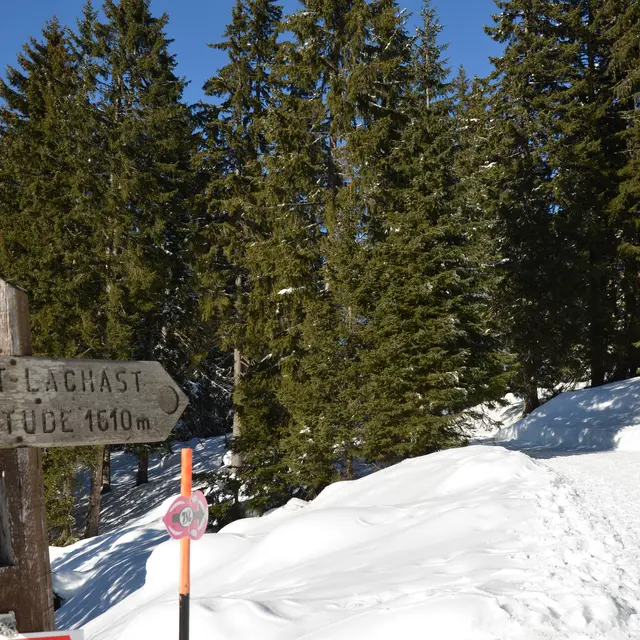 Le Tour du Mont-Lachat