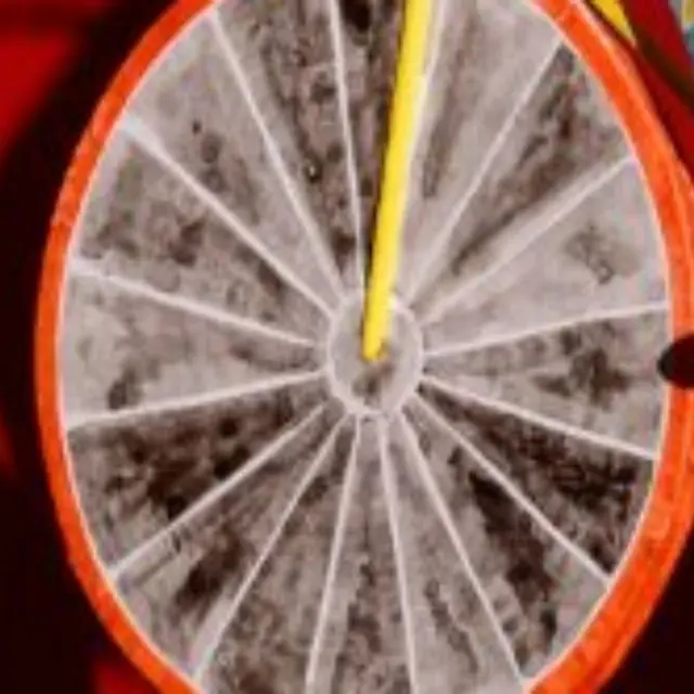 Muséolab - Atelier Le cirque sort sa science_Bourg-en-Bresse