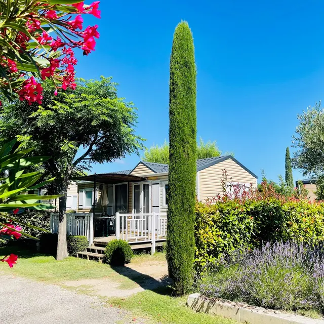 Camping Monplaisir cyprès 1