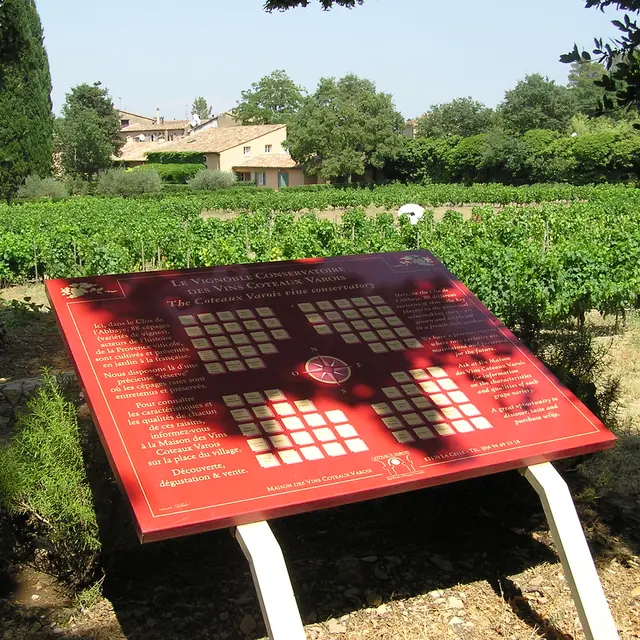 Maison des Vins Coteaux Varois en Provence - La Celle