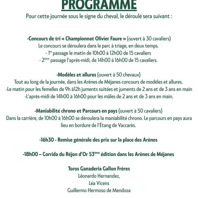 Feria du cheval à Méjanes - Rejon d'Or_Arles