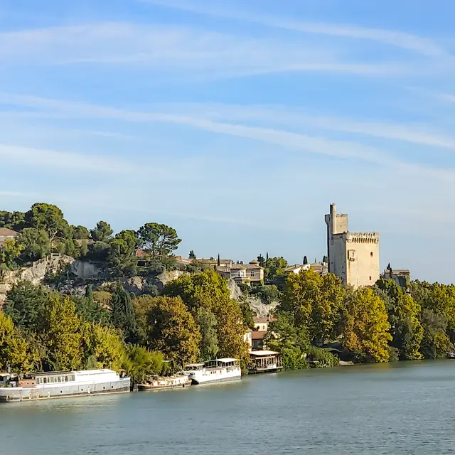 Visite guidée : Villeneuve et les peintres_Villeneuve-lez-Avignon