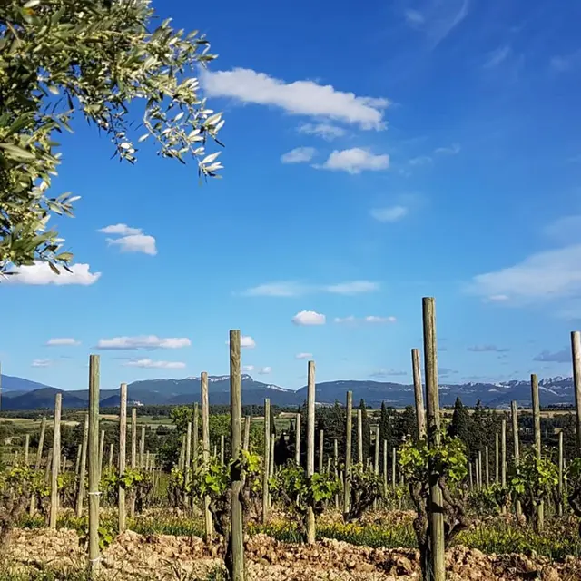 Visite de la cave - Domaine Rabasse Charavin_Cairanne