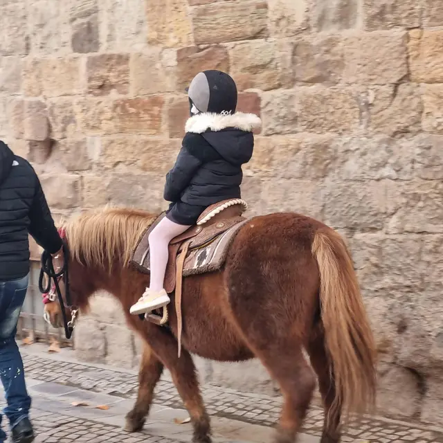 Balades à poneys_Fréjus