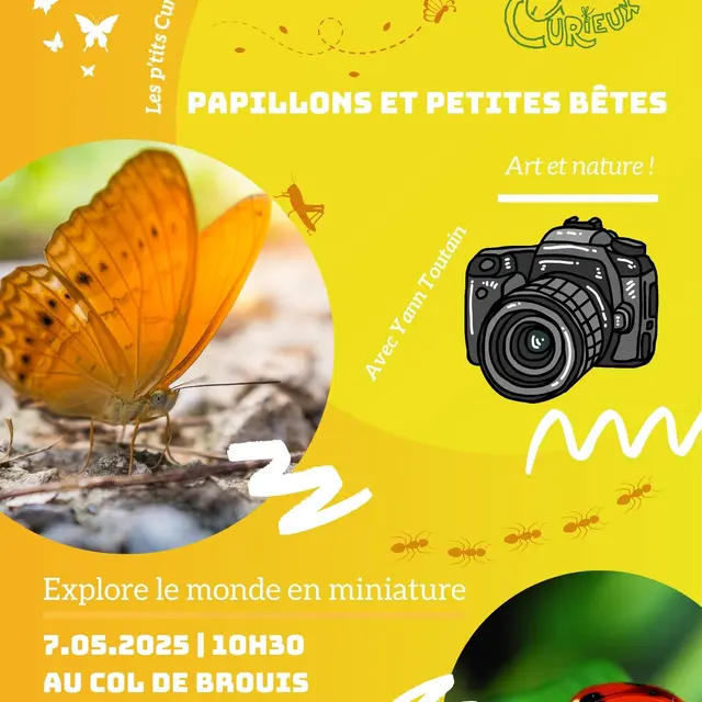 Visite commentée Papillons et Petites Bêtes : Explore le monde en miniature_Breil-sur-Roya