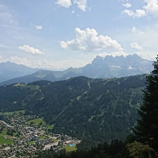 Vue sur Morgins