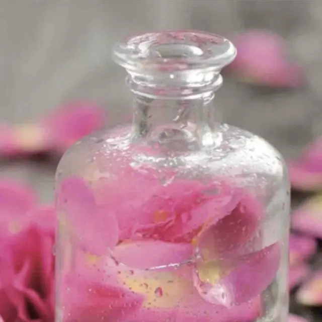 Conférence : « Pour la beauté de la rose, ses parfums et ses secrets » - Rencontres Parfumées_Istres