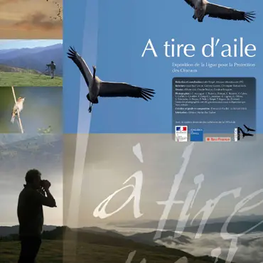 À tire d'aile_Sallèdes