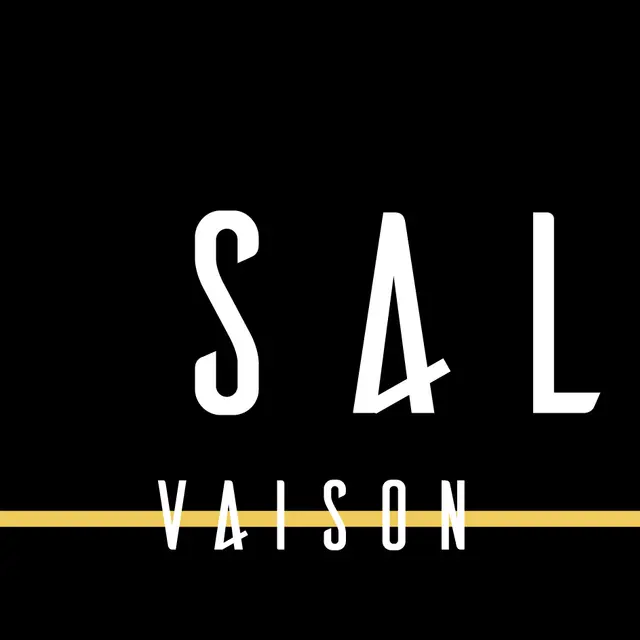 Logo La Salle Vaison