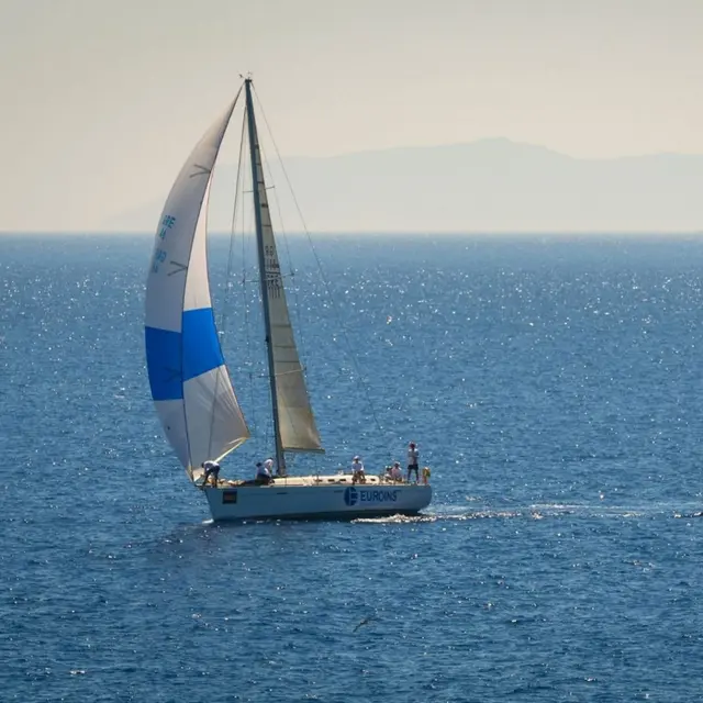 Régate des vins – Habitable_Bandol