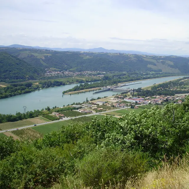 Vue du Belvédère des Méjeans