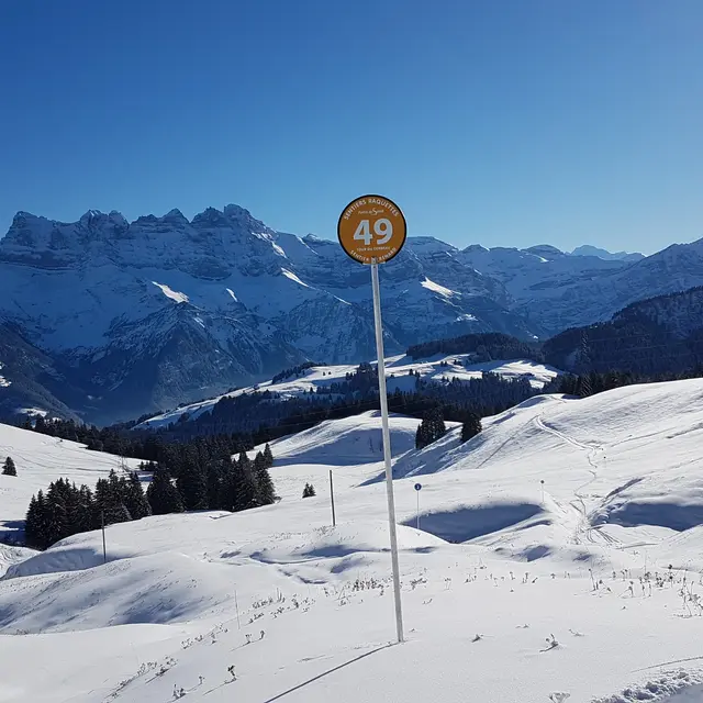 Tour du Corbeau - Sentier du Renard