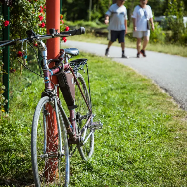 Vélo voie verte