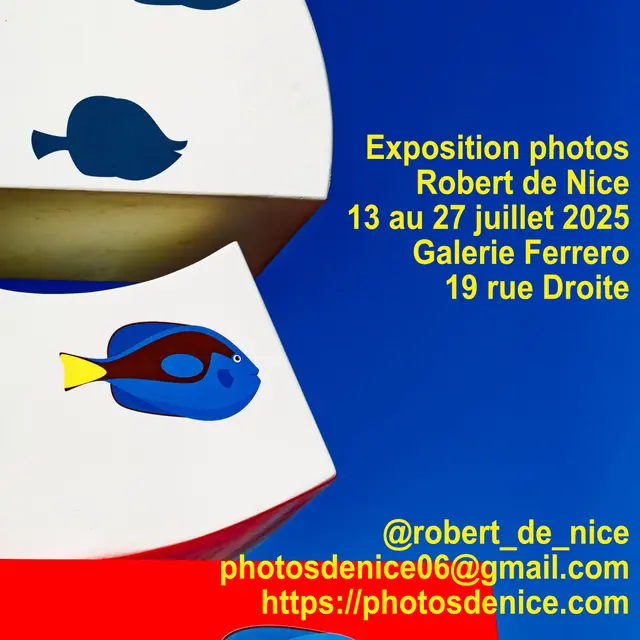 Nice et la mer - Exposition Robert de Nice_Nice