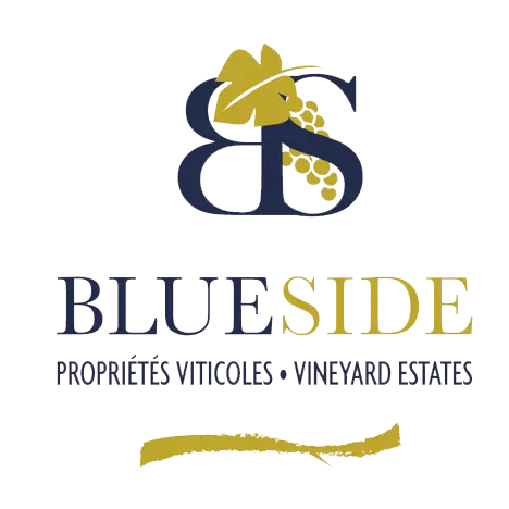Blue side