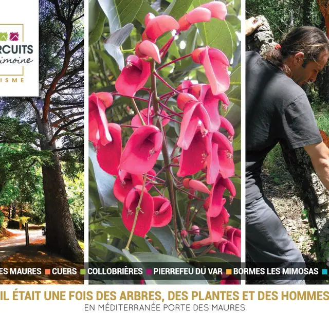 Circuit 3 : Il était une fois des Arbres des Plantes et des Hommes