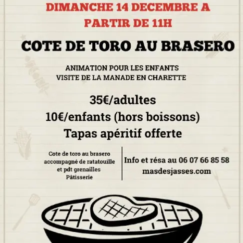 Un dimanche à la manade Fernay_Arles