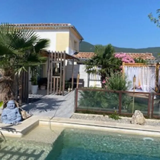 La salamandre du Mimosa