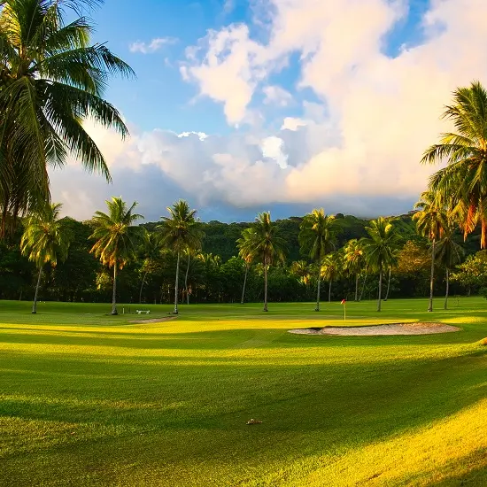 Golf International Olivier Bréaud - Tahiti Tourisme