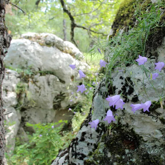 Randonnée argile en Provence - Journée_Saint-Zacharie