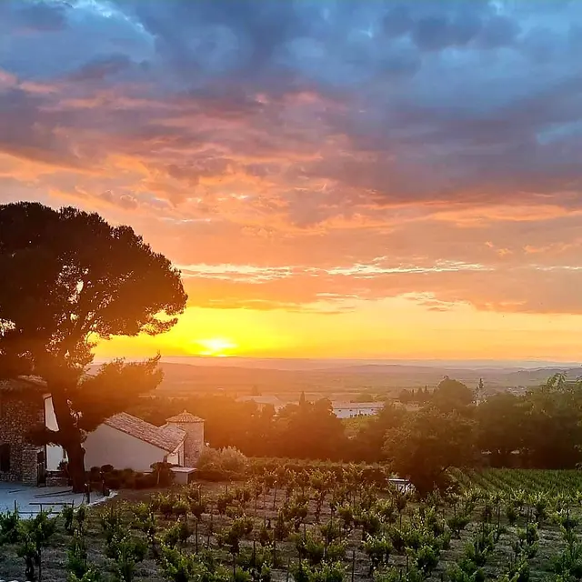 Vue restaurant Marceau Gigondas