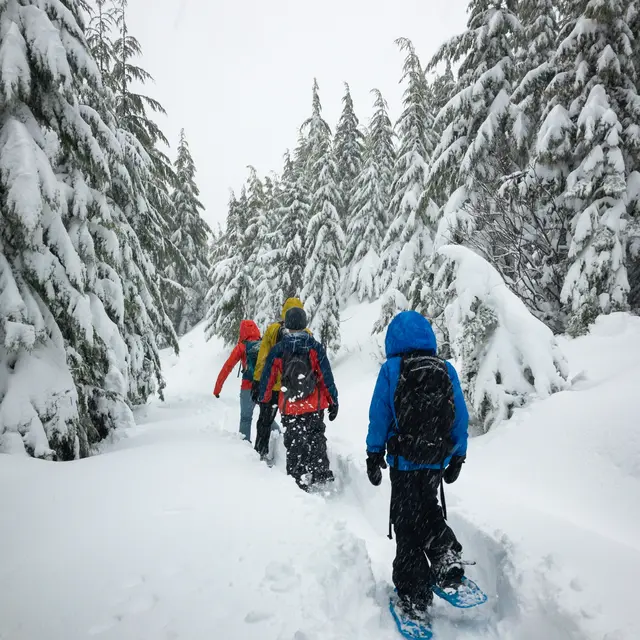 Raquette à neige guidée