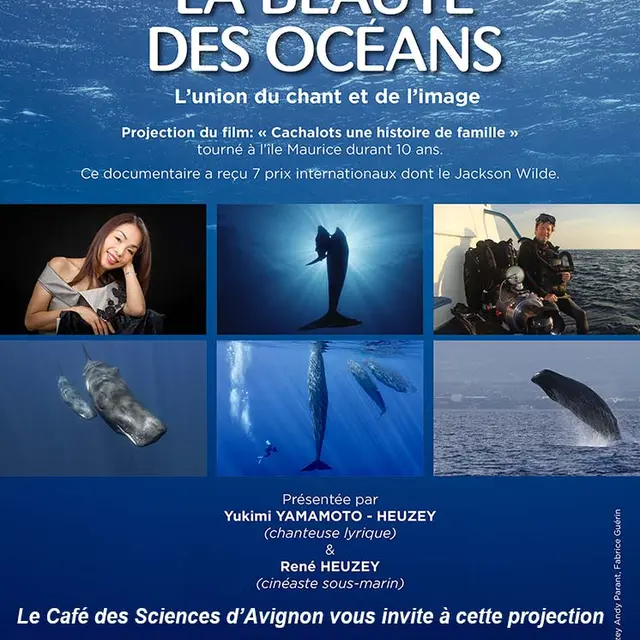 La beauté des océans