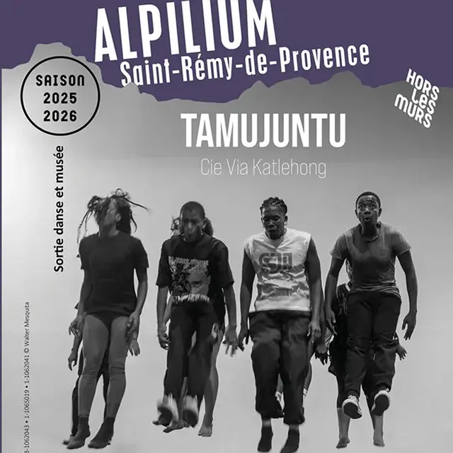 Alpilium : Tamujuntu_Saint-Rémy-de-Provence