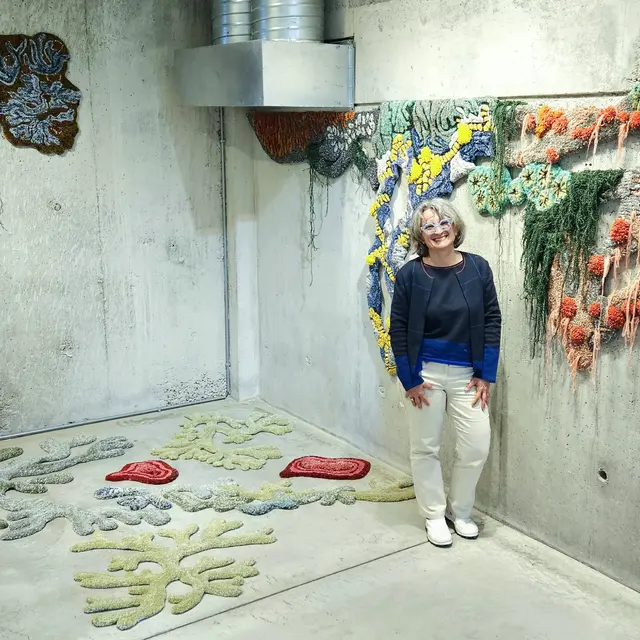 Installation Immiscions