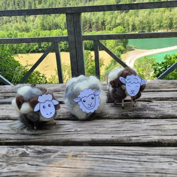 Petit mouton en laine cardée de différentes teinte
