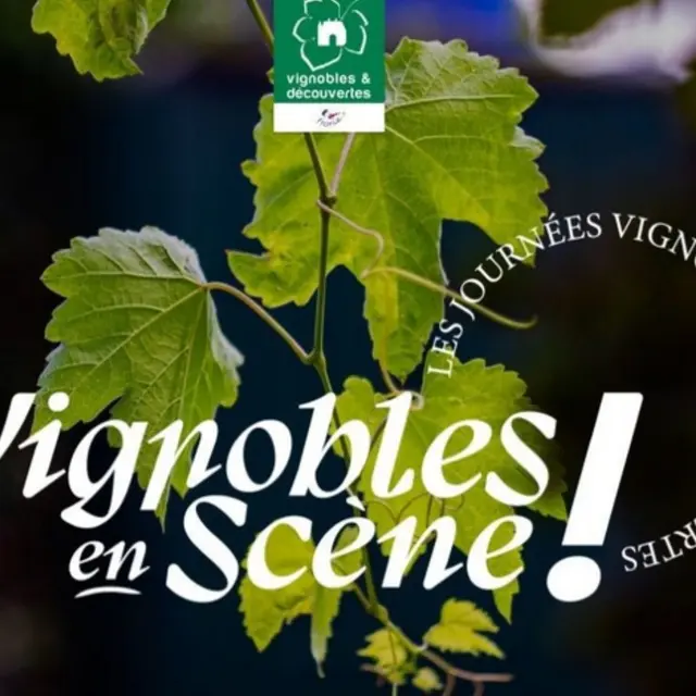 Vignobles en scène - Domaine de la Courtade_Hyères