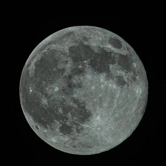 La tête dans les étoiles à la rencontre des animaux célestes_Arles