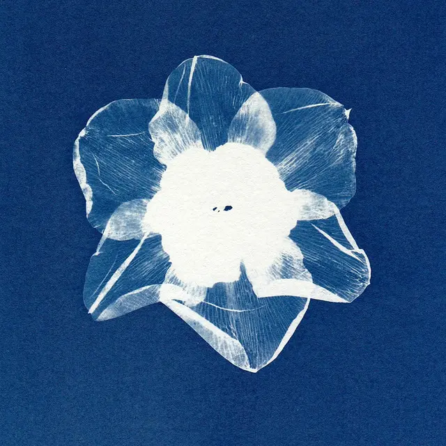 Atelier - Livre accordéon au fil de l'eau en cyanotype_Anduze