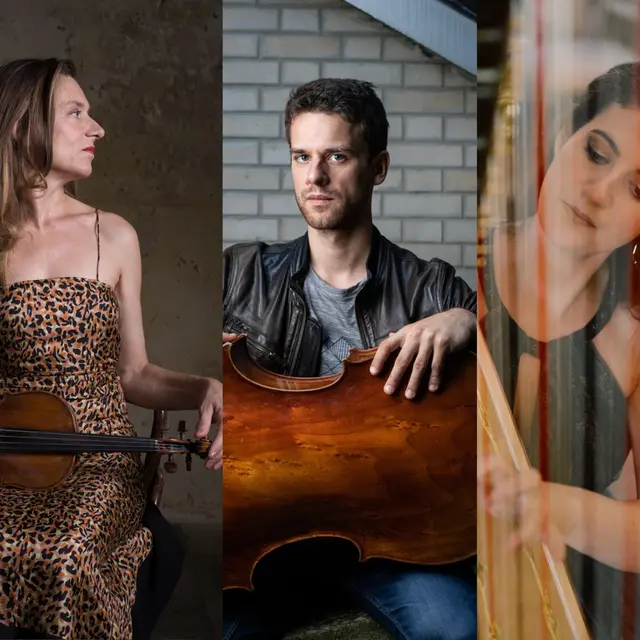 Ensemble Des Equilibres