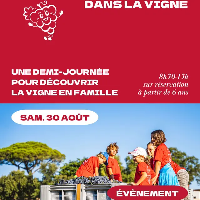 Mes Premiers Pas dans la Vigne_Saint-Tropez