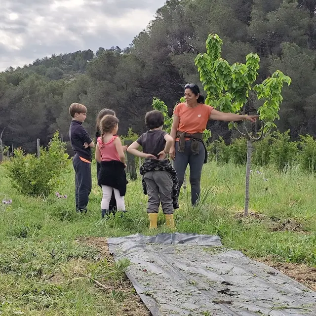 Cueillette de grenades à Martigues : Dégustation et récolte en famille_Martigues