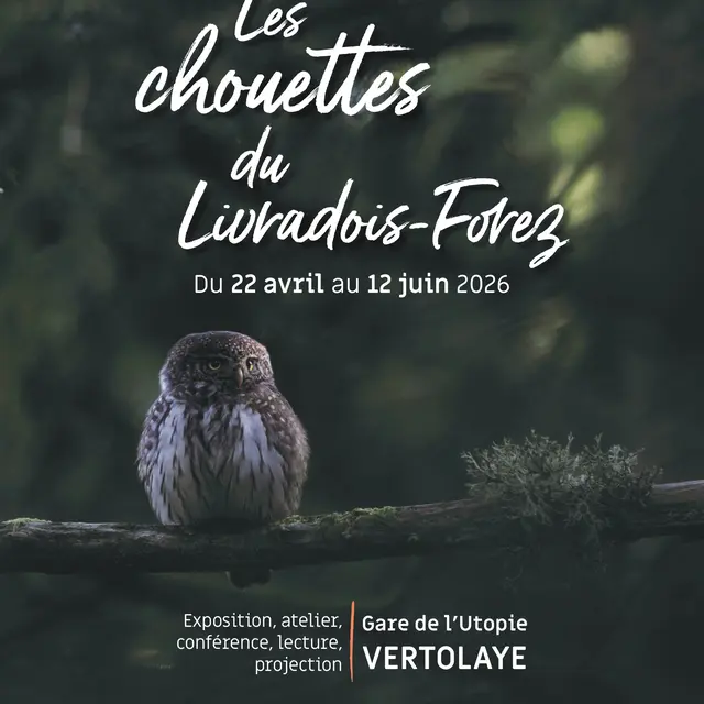 Les chouettes du Livradois Forez