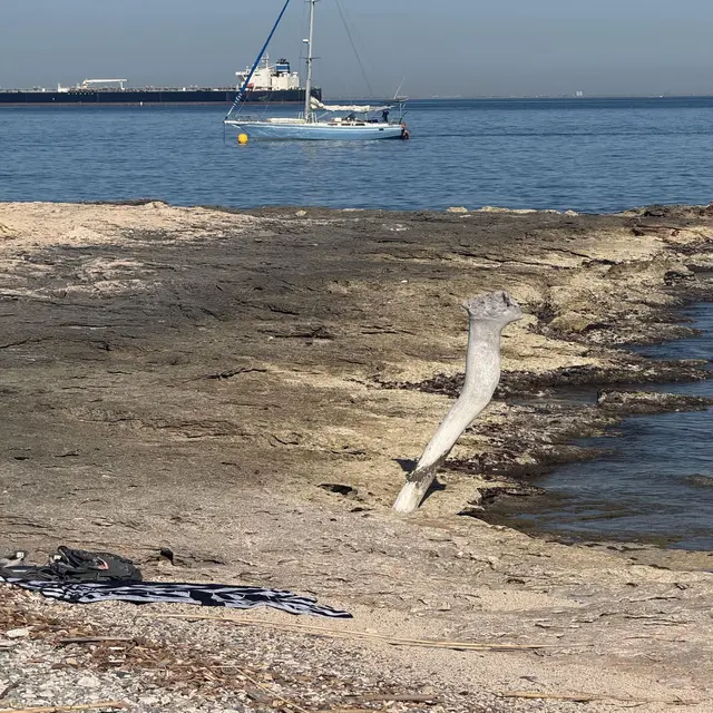 Plage naturiste de Bonnieu_Martigues